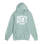 *RTS, Size XL, DSNY Adult Varsity Hoodie